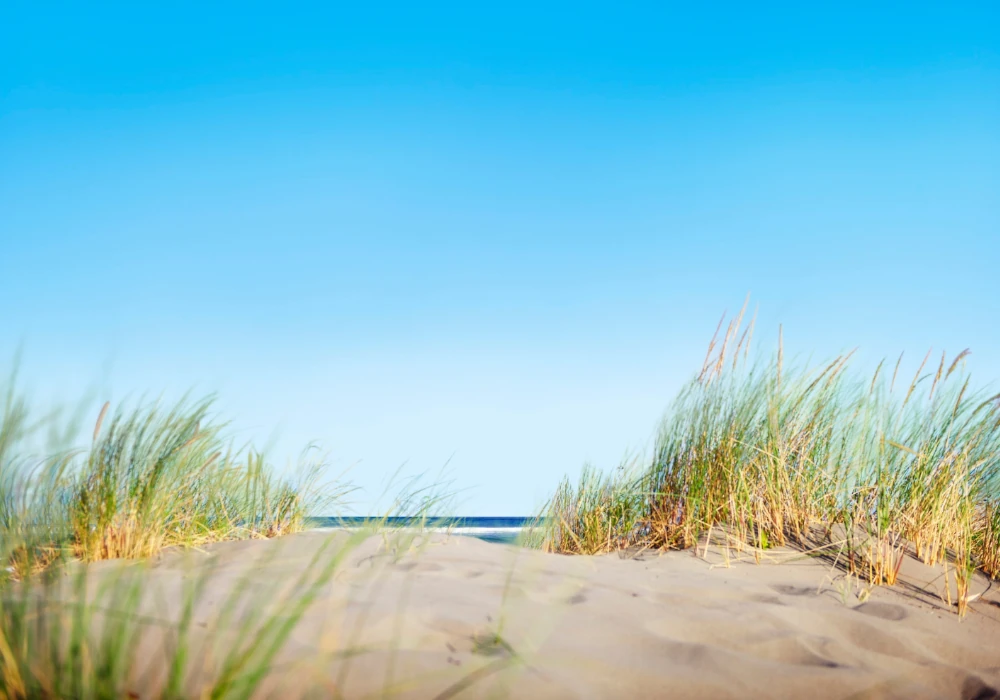 Holm Ferien Urlaub